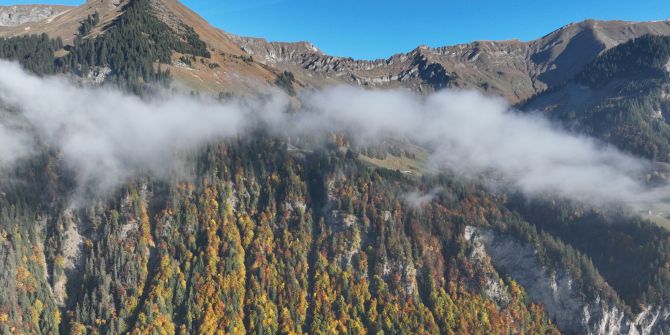Brienz BE
