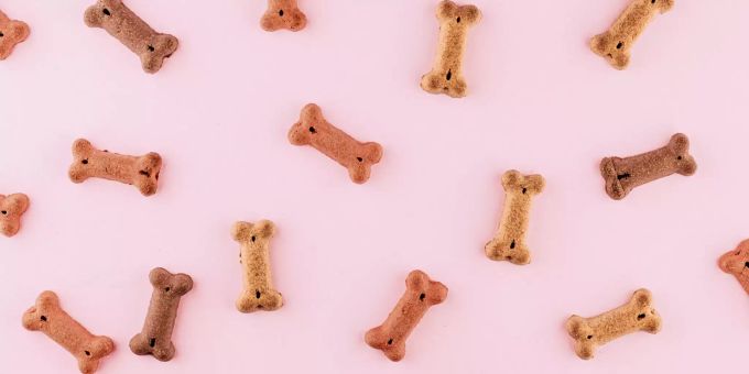 Selbstgemachte Leckerli sind oft gesünder als gekaufte. Leckerli