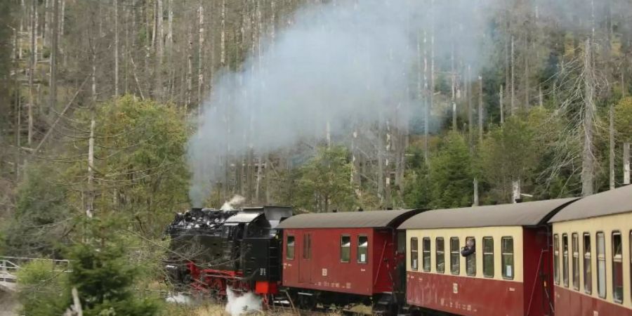 Heute ist die Brockenstrecke für die Harzer Schmalspurbahn GmbH das Zugpferd. Foto: Matthias Bein/dpa-Zentralbild/dpa