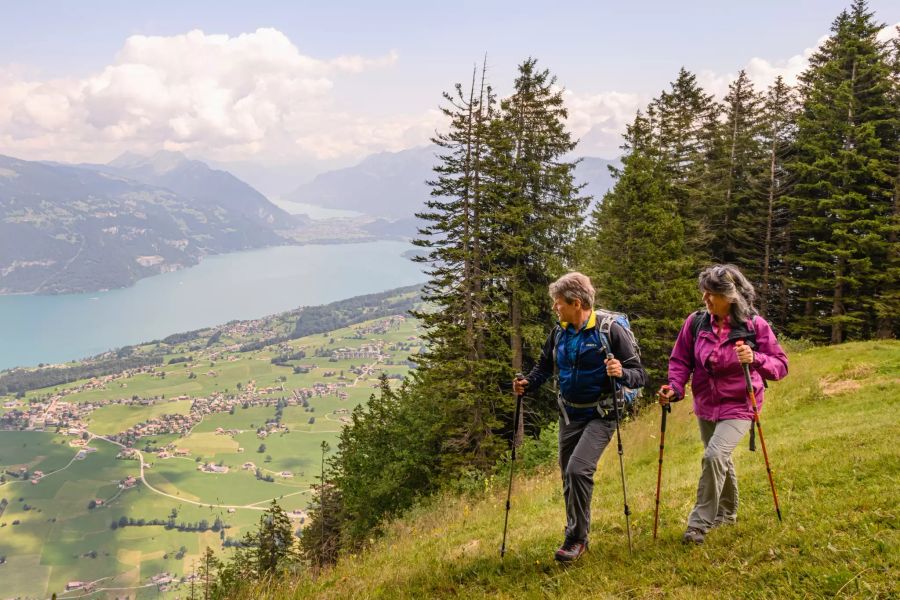 Der Blick auf Brienzer- und Thunersee ist euer ständiger Begleiter während dem Aufstieg auf den Niesen.