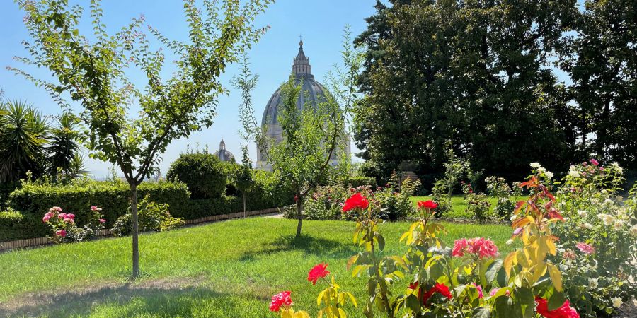 Petersdom Kuppel Garten Blumen