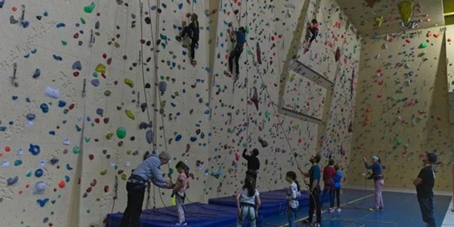 Kinder an der Kletterwand.