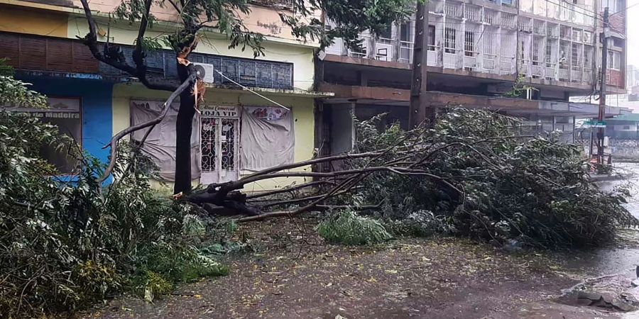 Umgefallene Bäume liegen auf einer Strasse in Quelimane, Mosambik. Ein Tropensturm hat den Südosten Afrikas schwer getroffen.