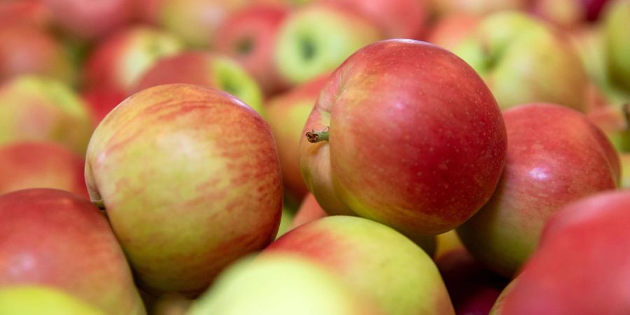 Nach Gemüse könnten in Grossbritannien nach Einschätzung von Landwirten auch Äpfel und Birnen knapp werden.