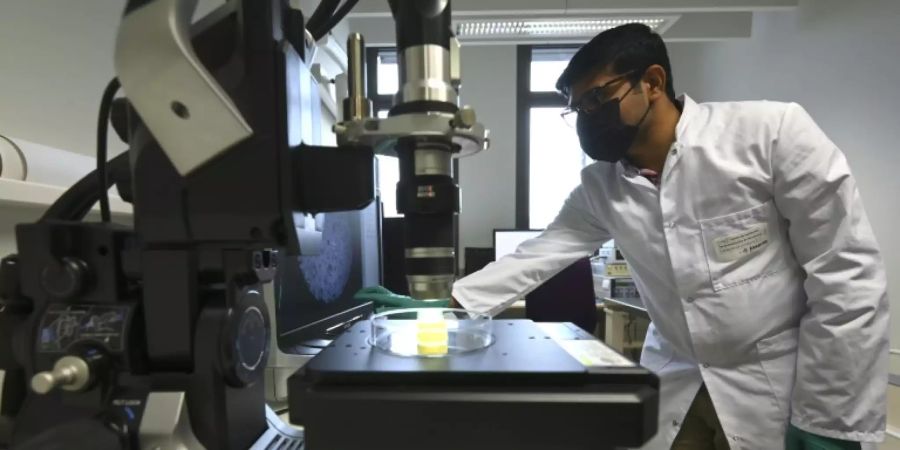 Arbeiten in einem Biomedizin-Labor