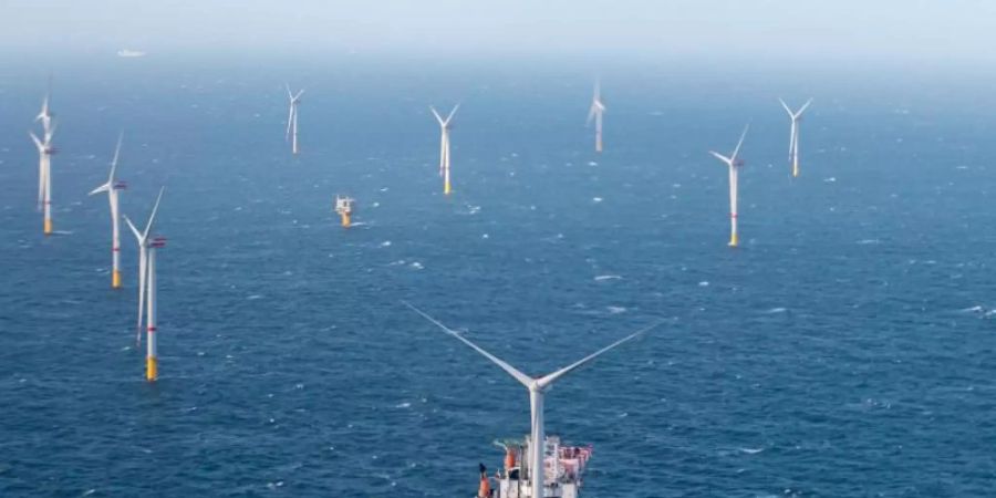 Windräder in der Nordsee vor Belgien. Foto: Kurt Desplenter/BELGA/dpa