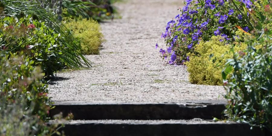 Ein schöner Gartenweg, das von vielen Blumen umgeben ist.