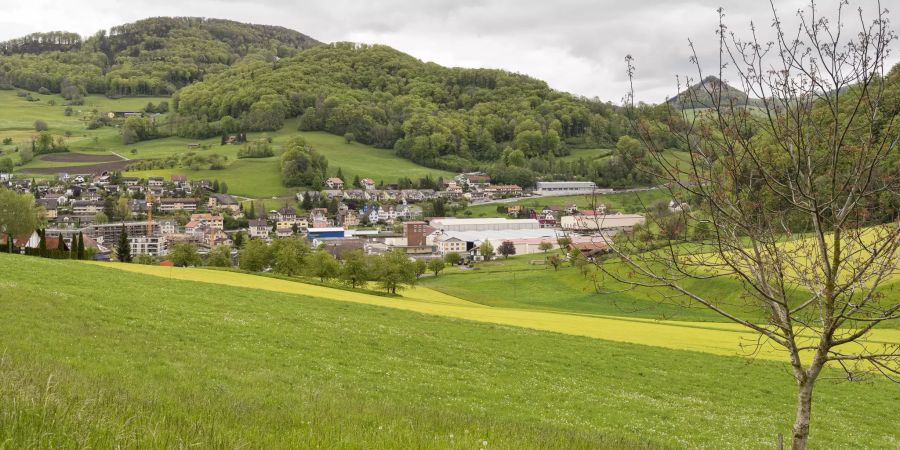 Blick von Läufelfingen in Richtung Oberdorf, rechts im Bild (hinter dem Baum) der Wisenberg.