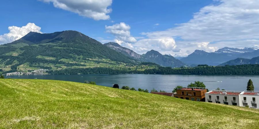 Der Ausblick auf den Viewaldstättersee über Meggen.