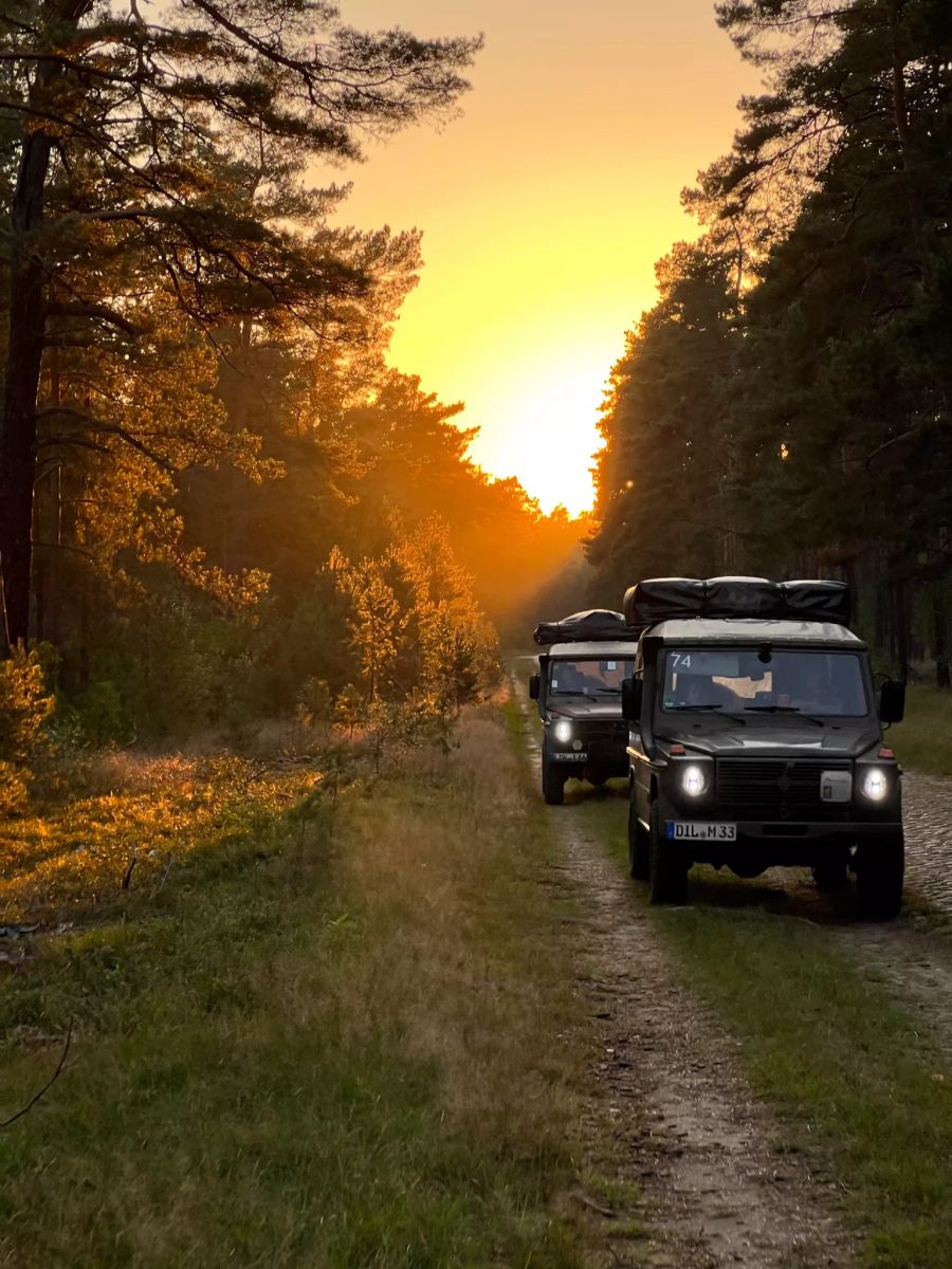 Autos im Wald am Morgen