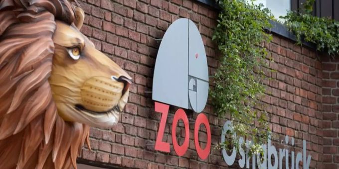 Im Zoo Osnabrück griff ein Löwe eine Tierpflegerin an. Tierpfleger