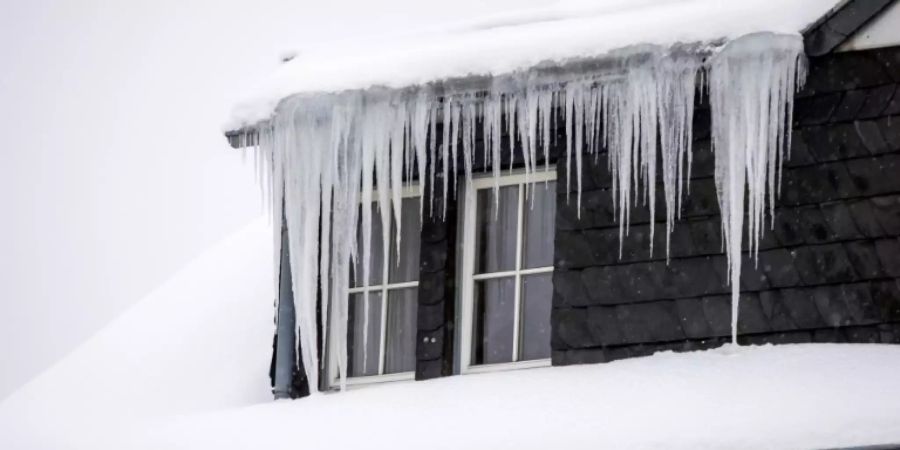 Richtig kalt war es Anfang Februar - hier in Altenberg