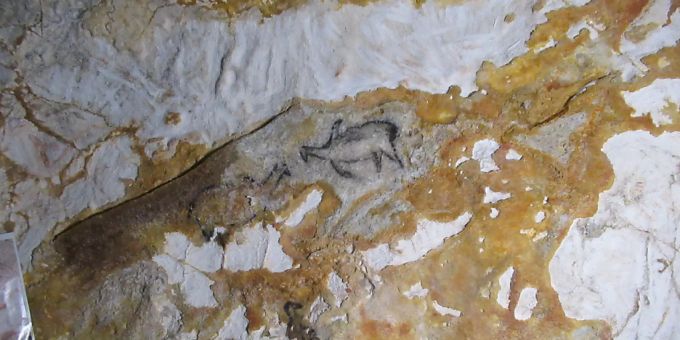 Eine Replik der Felsmalereien der Cosquer-Höhle. Die Abbildungen stellen den Riesenalk dar, den Urahn der Pinguine. Foto: Sabine Glaubitz/dpa Eine Replik der Felsmalereien der Cosquer-Höhle. Die Abbildungen stellen den Riesenalk dar, den Urahn der Pinguine. Foto: Sabine Glaubitz/dpa