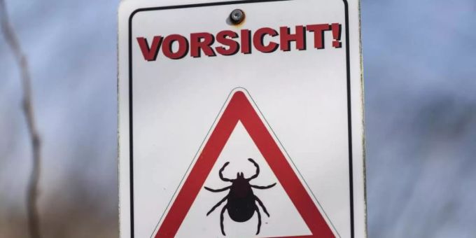 Die Zahl der FSME-Fälle hat in den letzten Jahren zugenommen. Frühsommer-Meningoenzephalitis