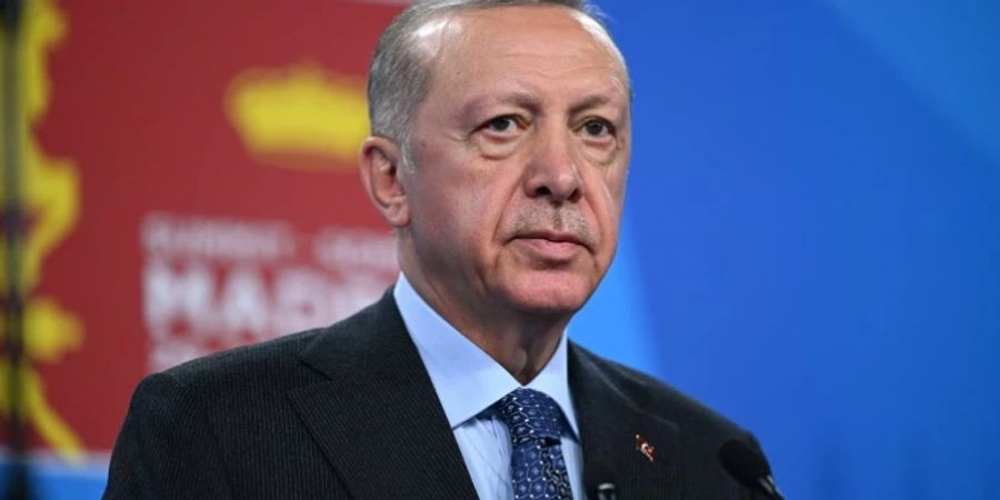 Der türkische Präsident Recep Tayyip Erdogan