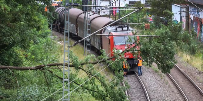 bahn baum fahrleitung unterbruch