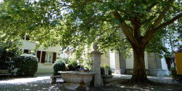Baum Marktplatz