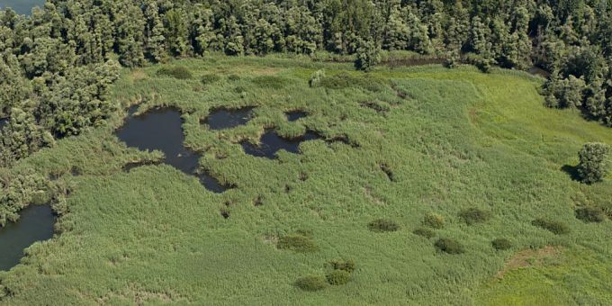 Der Bundesrat will mehr schützenswerte Naturfläche. im Bild das Naturschutzgebiet Bolle di Magadino im Kanton Tessin. (Archivbild) Naturfläche Bolle di Magadino