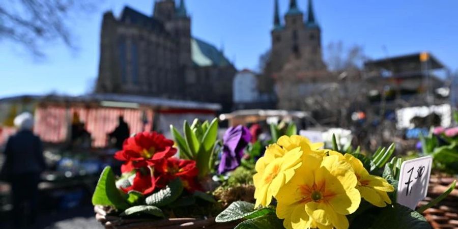 Die Sonne lacht - Frühlingswetter in Erfurt. Foto: Martin Schutt/dpa-Zentralbild/dpa