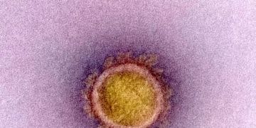 Coronavirus