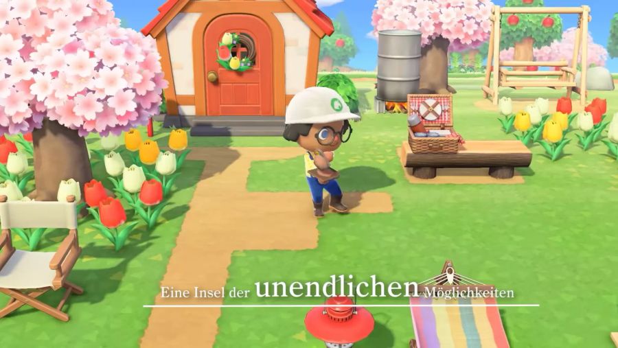 nintendo switch animal crossing