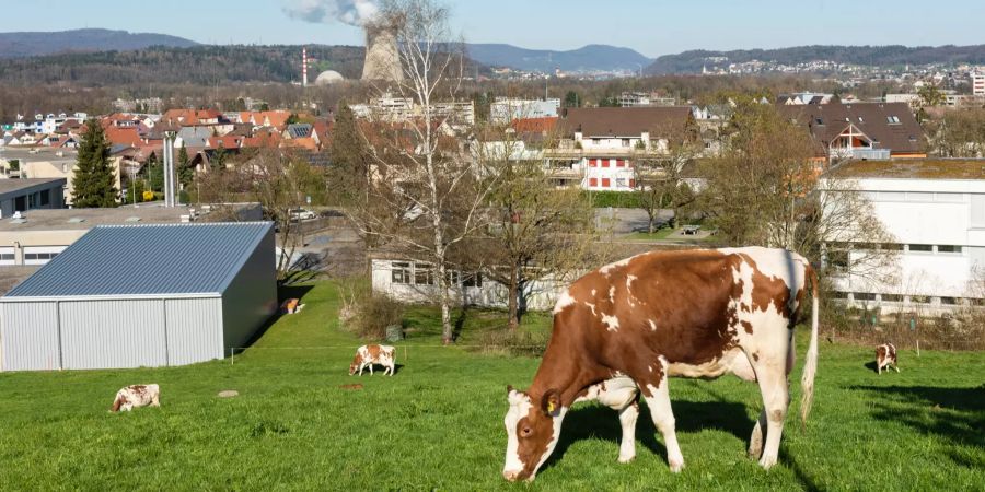 Dorf Dulliken.