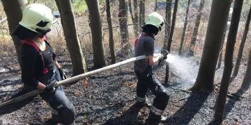 Waldbodenbrand erfordert Feuerwehreinsatz