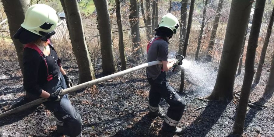 Waldbodenbrand erfordert Feuerwehreinsatz