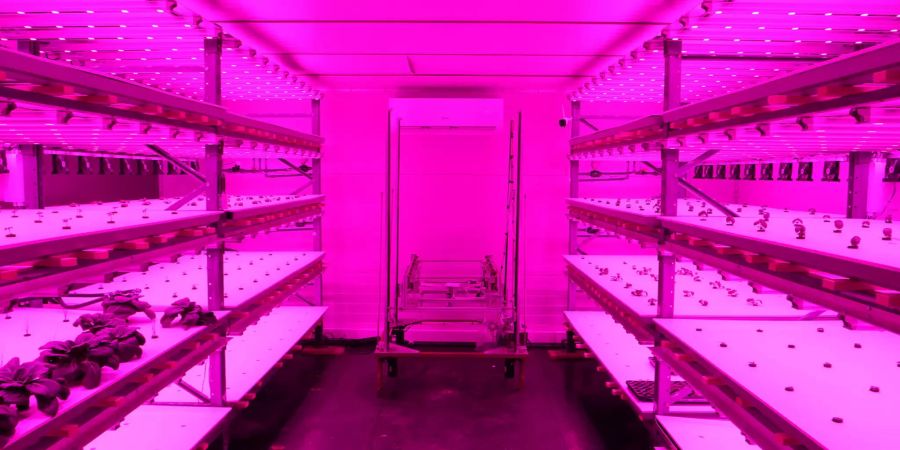 Robotic Vertical Farm Migros