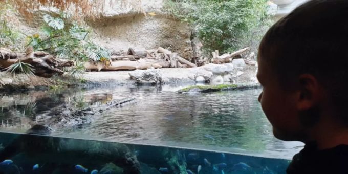 Die SEB-Kinder gingen mit dem Geist Basti auch in den Zoo.