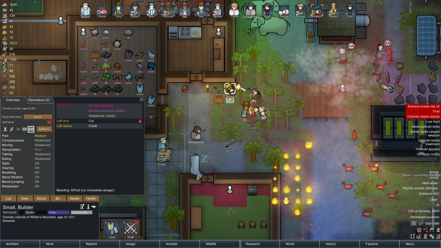 rimworld solo entwickler