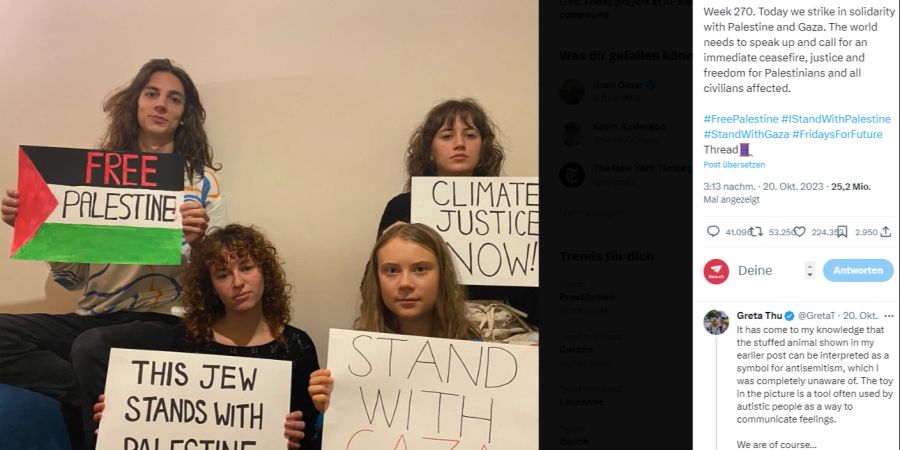 Greta Thunberg polarisiert mit Pro-Palästina-Posts.