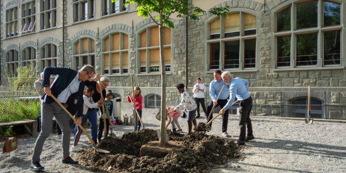 Baumpflanzung an der Primarschule Schönenwegen. Personen pflanzen einen Baum.