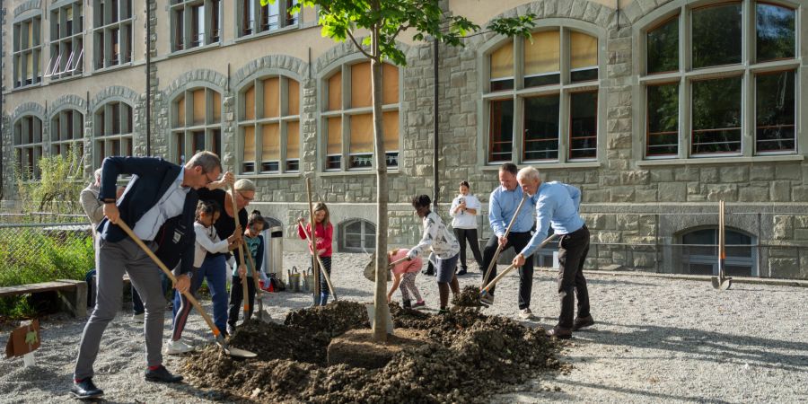 Personen pflanzen einen Baum.