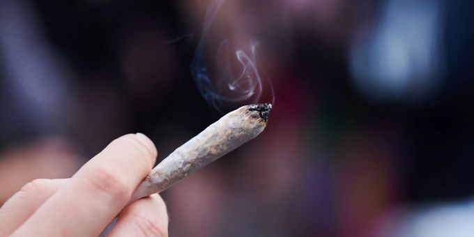 Der Gesetzentwurf sieht vor, Cannabis im Betäubungsmittelgesetz von der Liste der verbotenen Substanzen zu streichen. cannabis