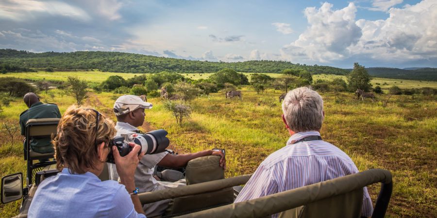 Safari