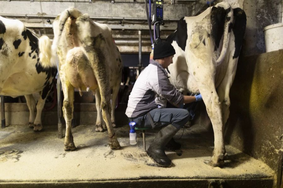 Milch Cailler Schweiz