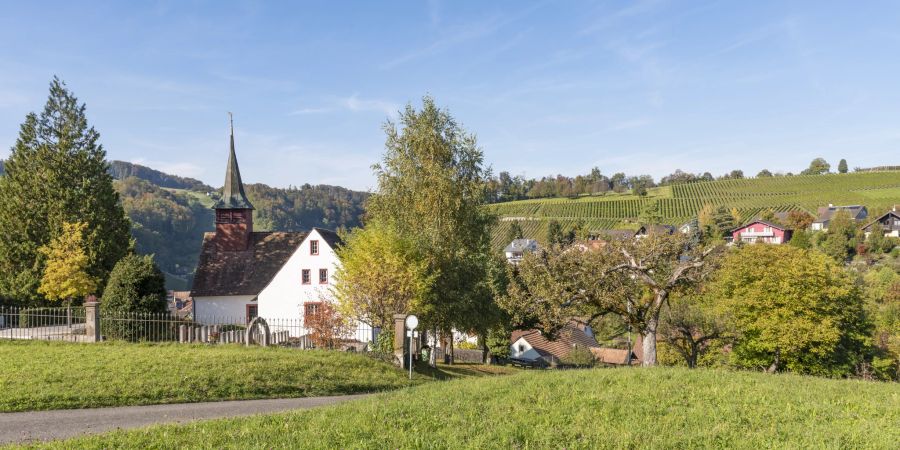Wintersingen; die reformierte Kirche und Weinberge in Wintersingen