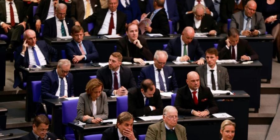 Mitglieder der AfD-Bundestagsfraktion