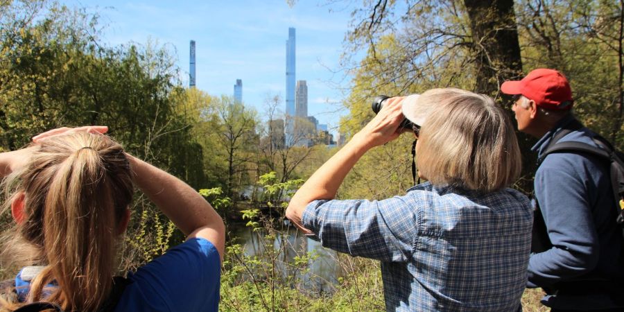 Der Vogelkundler Robert DeCandido alias «Birding Bob» führt eine Gruppe von Interessierten durch den Central Park.