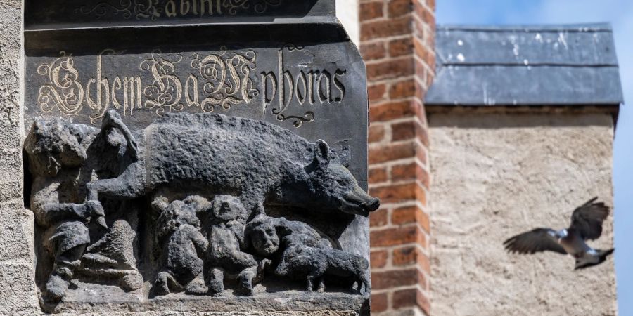 Eine als „Judensau“ bezeichnete Schmähplastik ist an der Stadtkirche von Wittenberg zu sehen.
