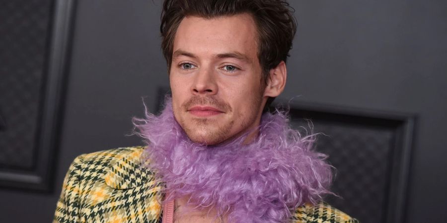 Will mit einer Millionen-Spende gegen Waffengewalt vorgehen: Sänger Harry Styles
