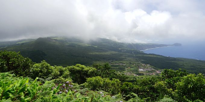 Unverschämt grün kommt die Insel Faial vielerorts daher. Insel Wald Meer grün