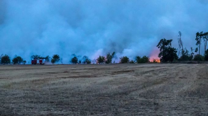 Ein Waldbrand lodert in der Region Falkenberg (D). Waldbrand