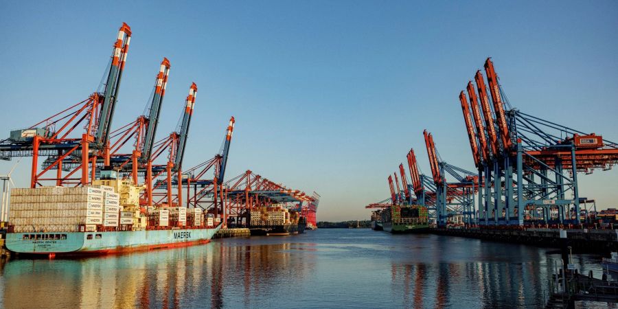 Containerschiffe liegen zur Abfertigung an den Terminals im Hamburger Hafen.