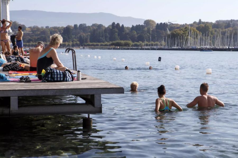 Swimmen Genfersee