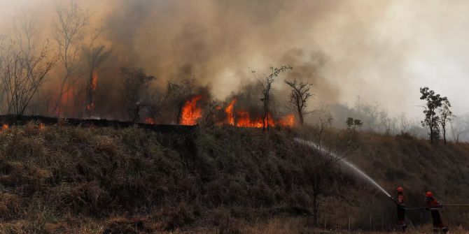 Bolivien Waldbrand