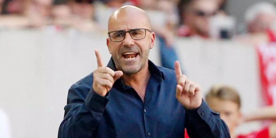 Trainer Peter Bosz leistet gute Arbeit in Leverkusen. Foto: Roland Weihrauch