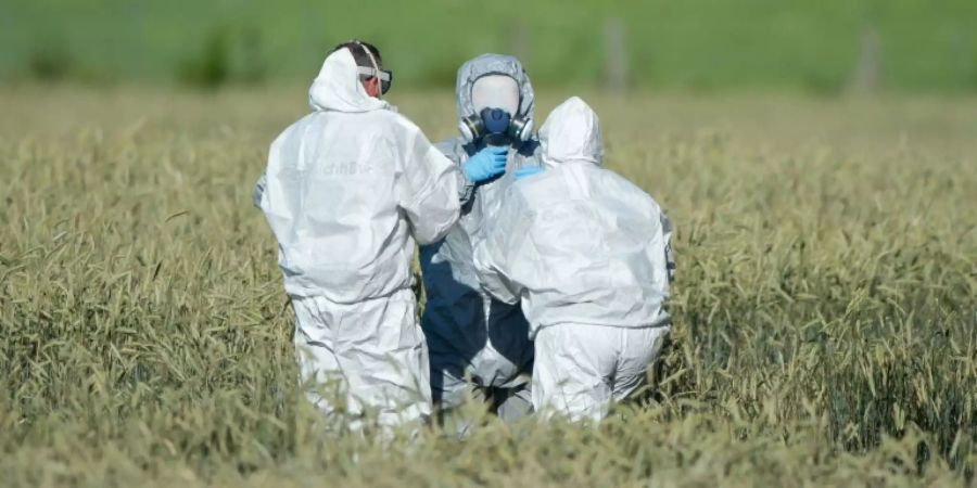Suche nach Wrackteilen auf einem Feld