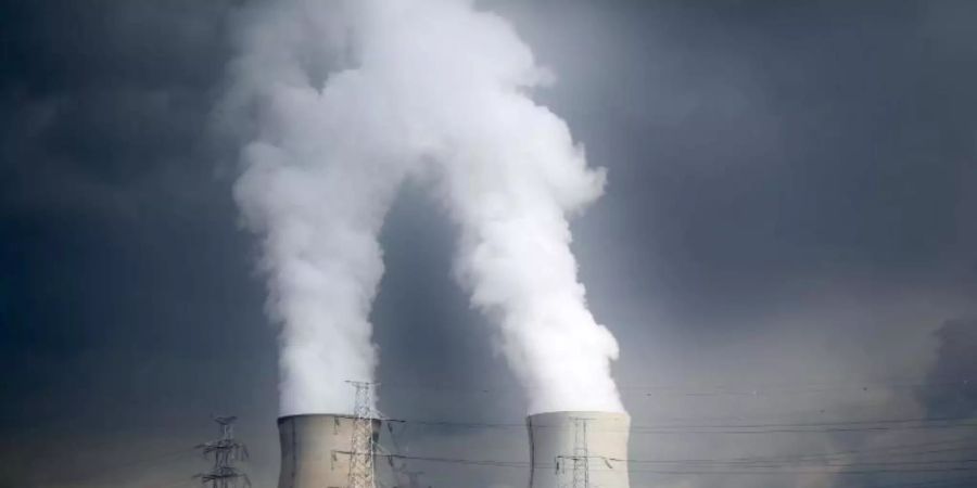 Dampf steigt aus den Kühltürmen des Atomkraftwerks Doel. Foto: Oliver Berg